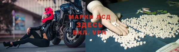 spice Володарск