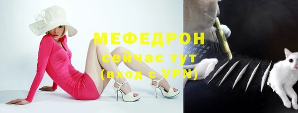 сатива Новочеркасск