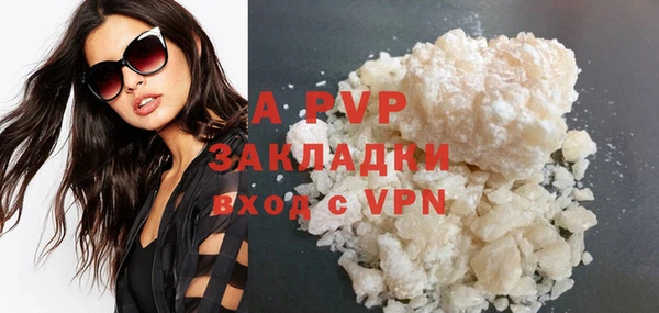 стаф Надым
