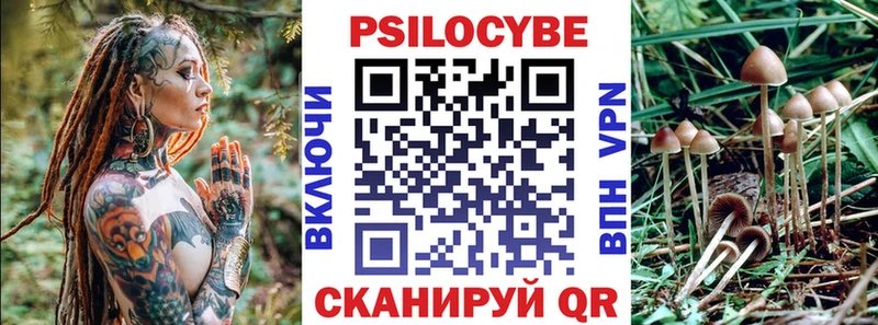 Галлюциногенные грибы Cubensis цена наркотик кракен как войти Нерехта